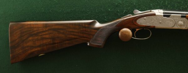 Beretta EELL (2)
