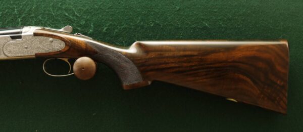 Beretta EELL (5)