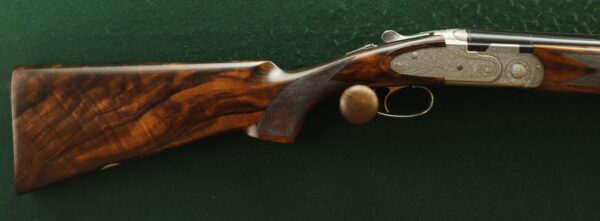 Beretta EELL (8)