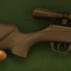 Crosman Shockwave .22