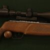Crosman Trailhawke Multi-shot .22