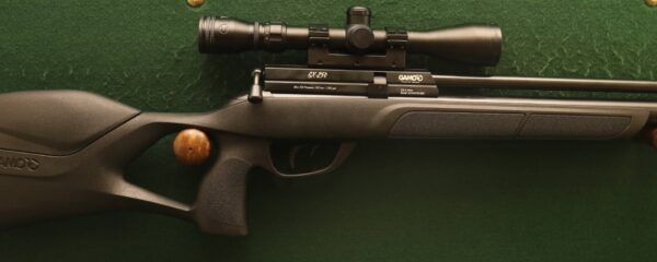 GAMO GX-250 PCP .22 Air Rifle - Image 2