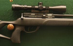 GAMO GX-250 PCP .22 Air Rifle