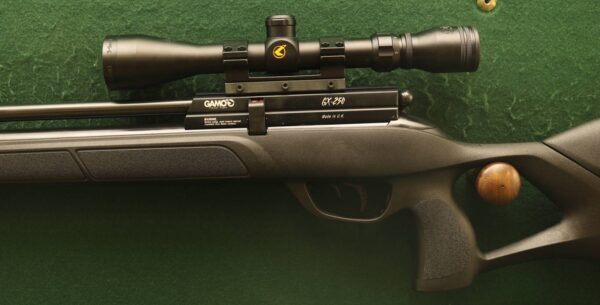 GAMO GX-250 PCP .22 Air Rifle - Image 4