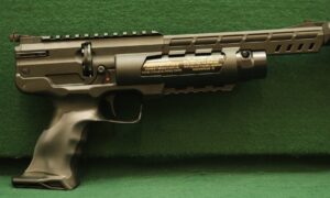 Weihrauch HW44 .22 PcP Air Pistol